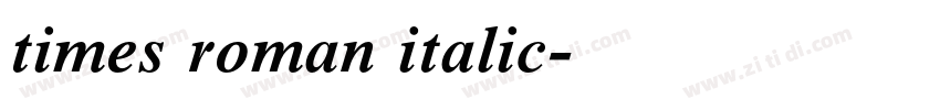 times roman italic字体转换